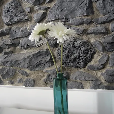 Apartamentos Funchal Hotel Funchal (Madeira)